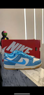 Nike Dunk Baltic Blue HQ1519-031